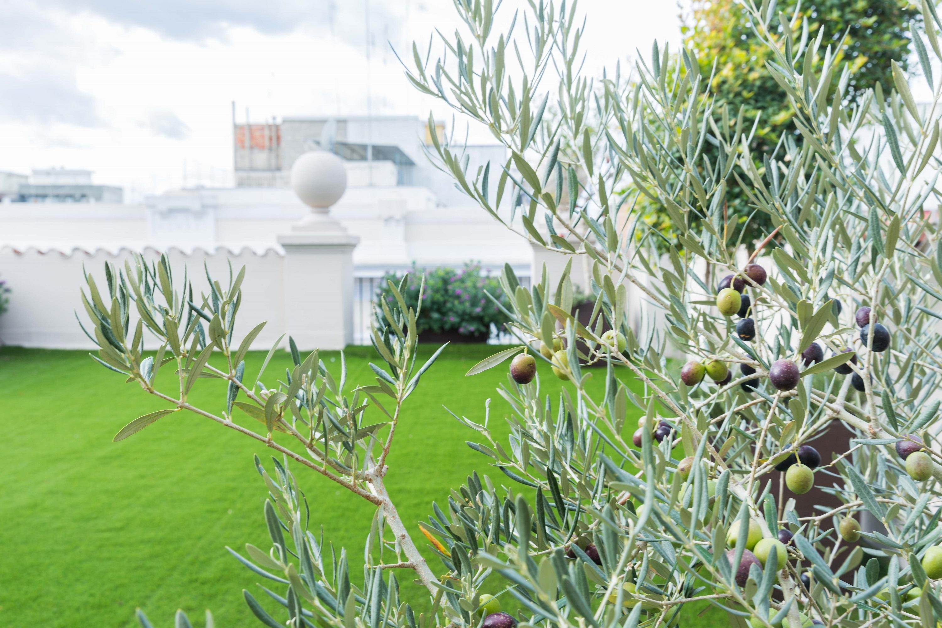 200 Rooms & Terrace Bari Exterior foto